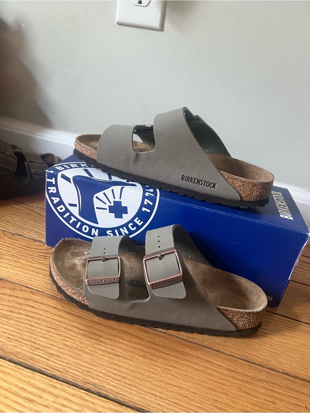 Birkenstock Arizona Two-Strap Sandals in Stone